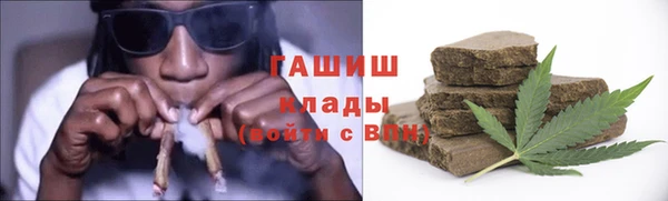 стаф Бородино