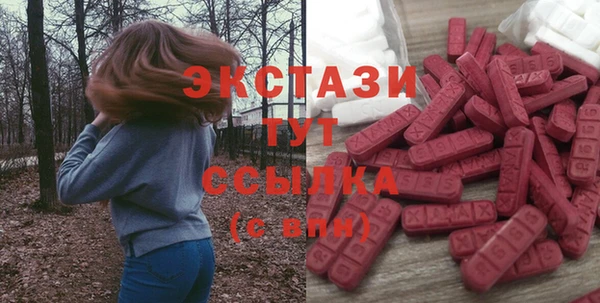 дживик Богородицк
