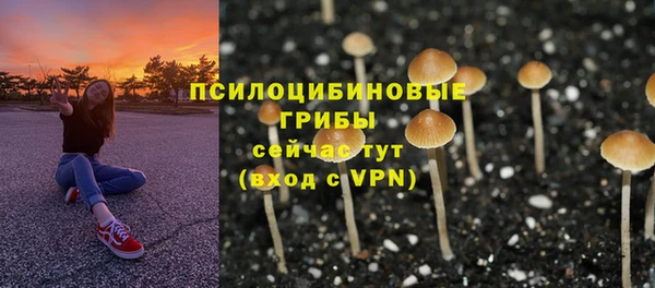 стаф Бородино