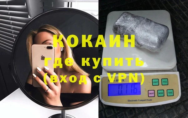 стаф Бородино