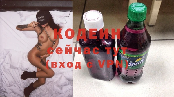 индика Верхний Тагил