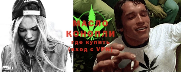 стаф Бородино