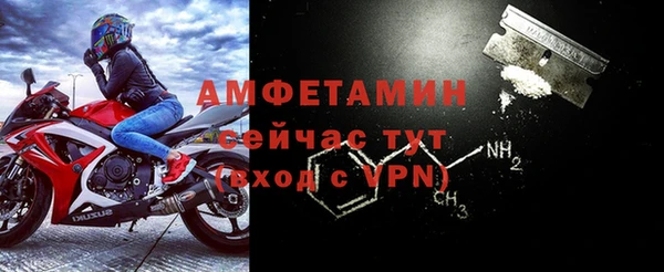 индика Верхний Тагил