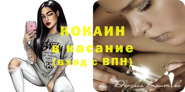 стаф Бородино